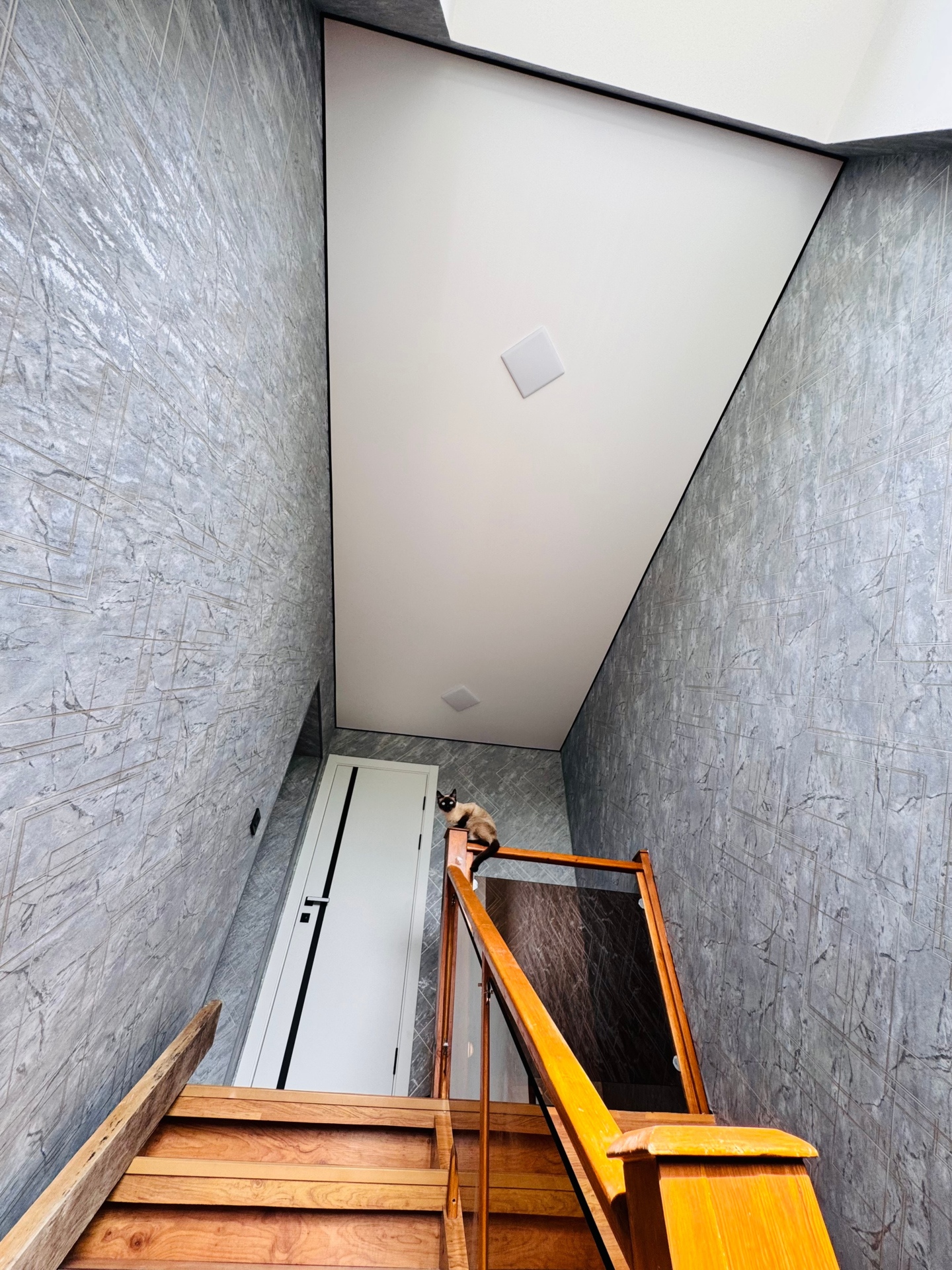 Натяжные потолки Bauf Потолки Всем