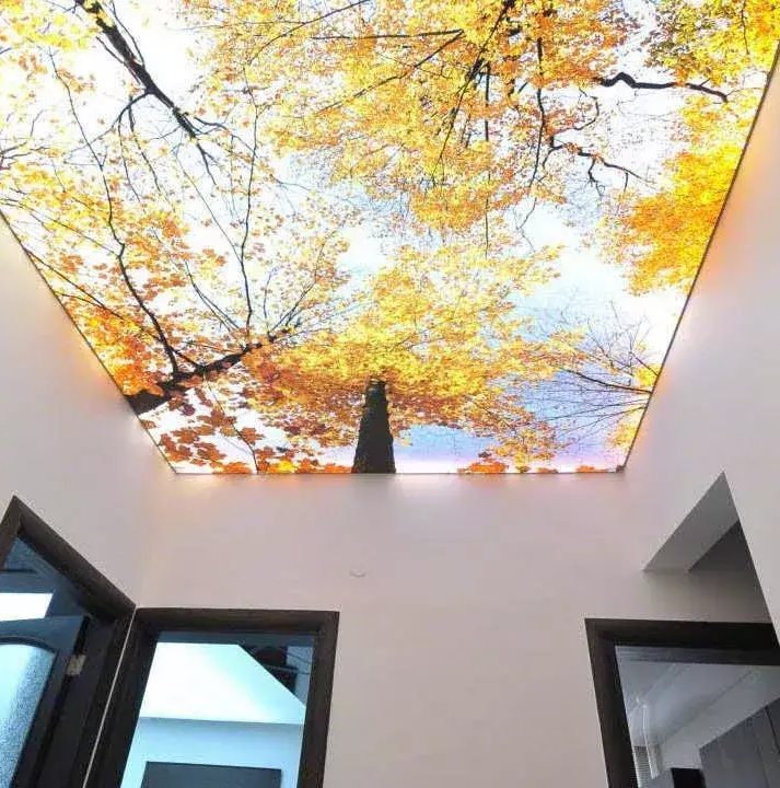 Натяжные потолки с фотопечатью Потолки Всем