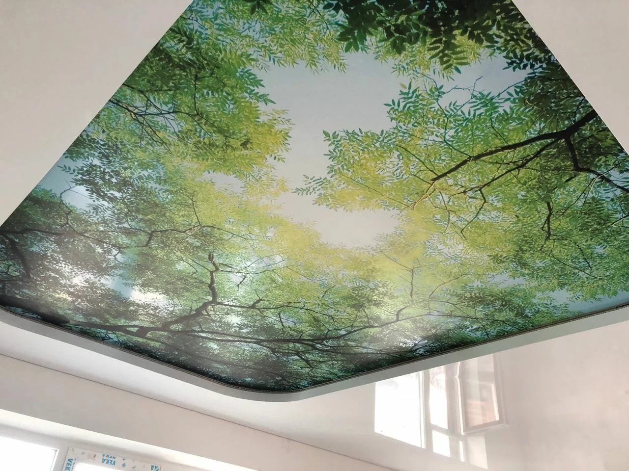 Натяжные потолки с фотопечатью Потолки Всем