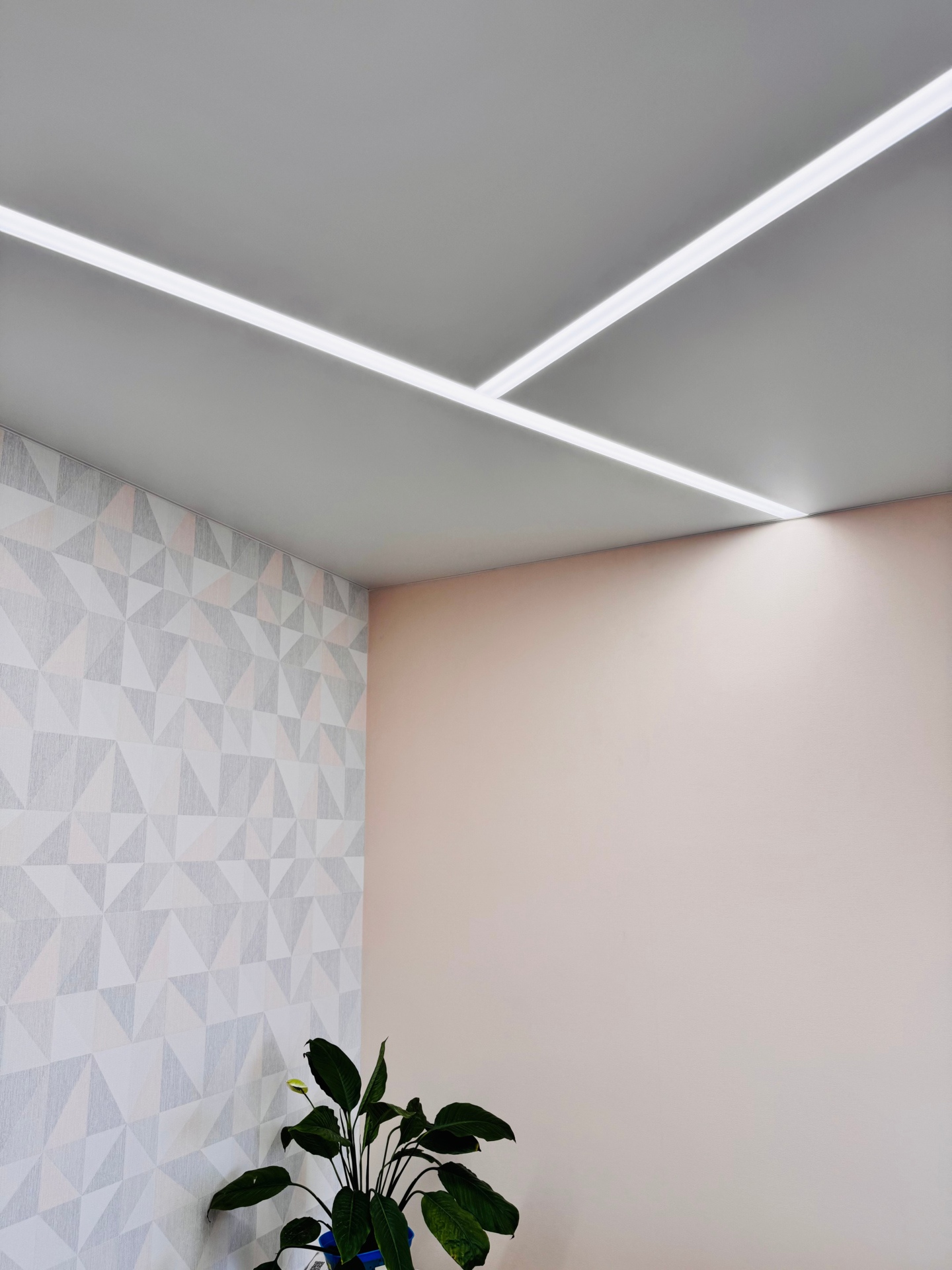 Натяжные потолки Descor-Light Потолки Всем